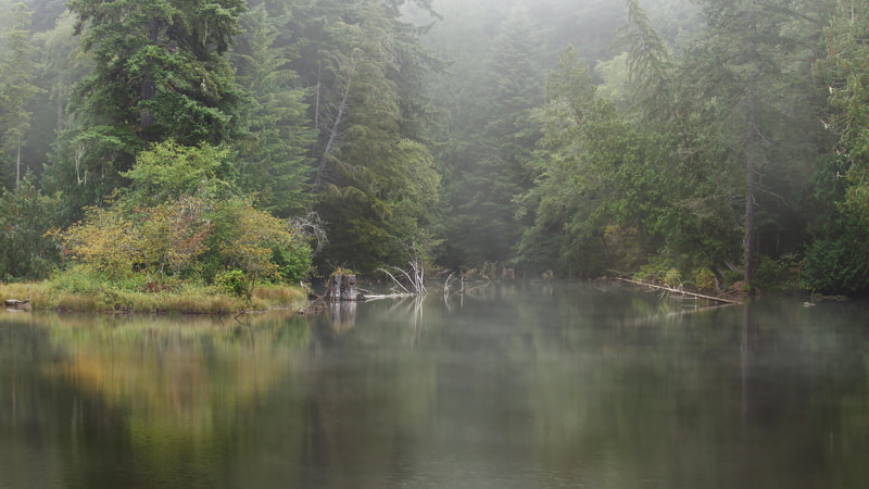 Photo of a quiet foggy morning on a lake at the start of fall.