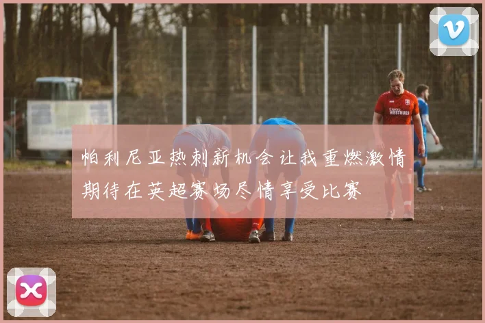 帕利尼亚热刺新机会让我重燃激情期待在英超赛场尽情享受比赛