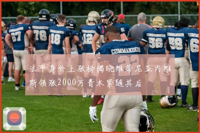 法甲身价上涨榜揭晓维蒂尼亚内维斯领涨2000万青木紧随其后