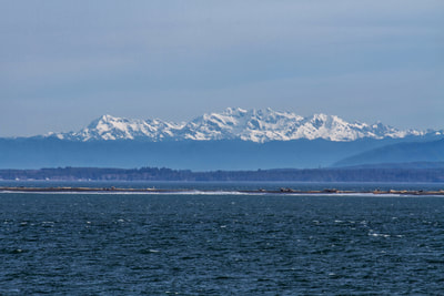 A photograph of the Olympic Mountains across Grays Harbor from Westport, Washington.