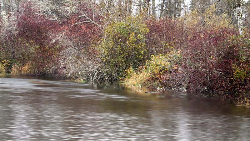 Photograph of a rainy day in November on the river.