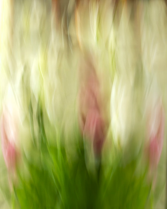 Impressionistic photo of a bouquet of tulips.